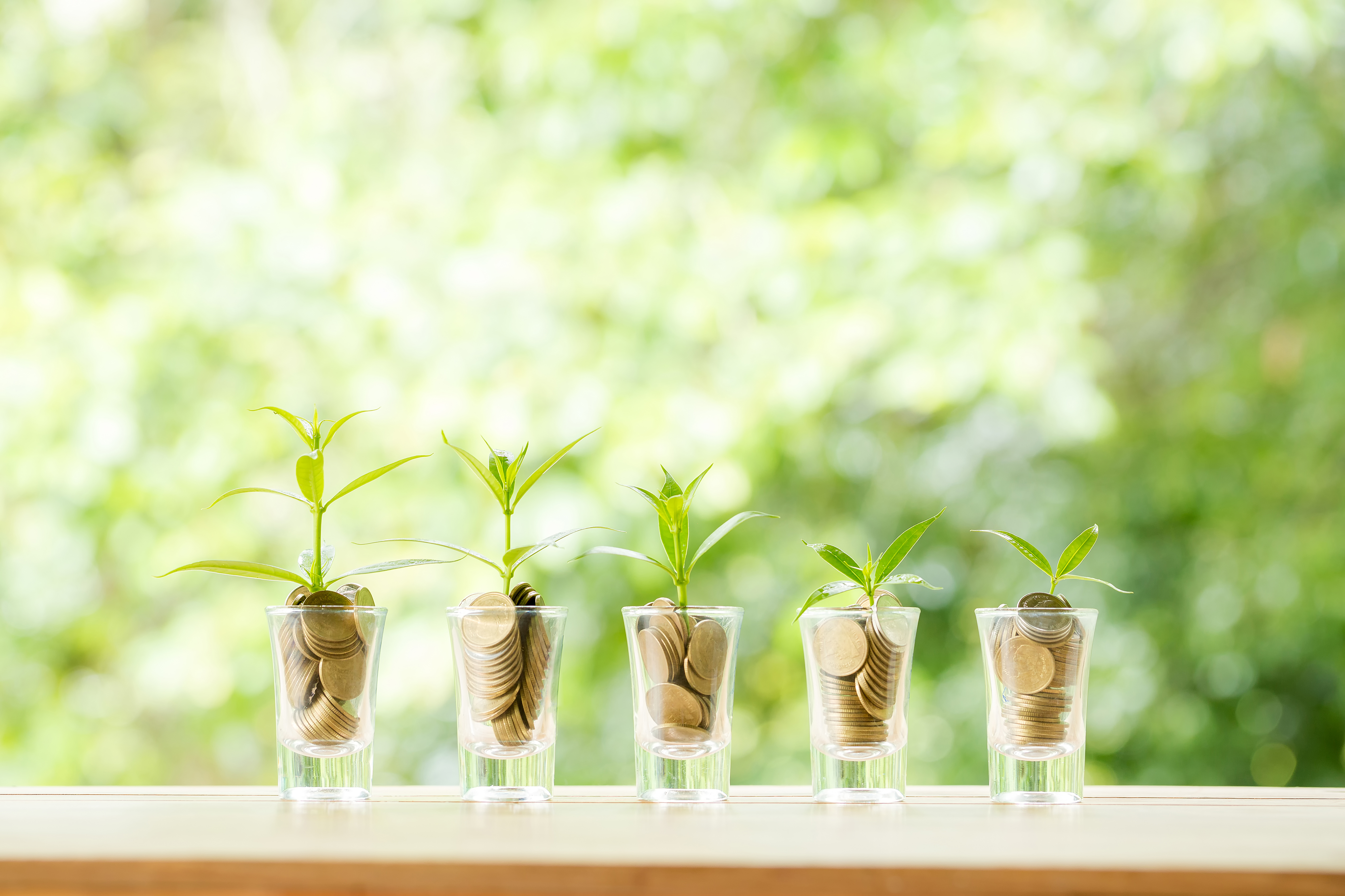 EVF thúc đẩy tăng trưởng bền vững thông qua tín dụng xanh và tài chính toàn diện